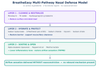 BreatheEasy: Multi-Pathway Nasal Defense & Comfort Model | immunizeLABS