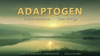 Adaptogen clinical research compendium cover