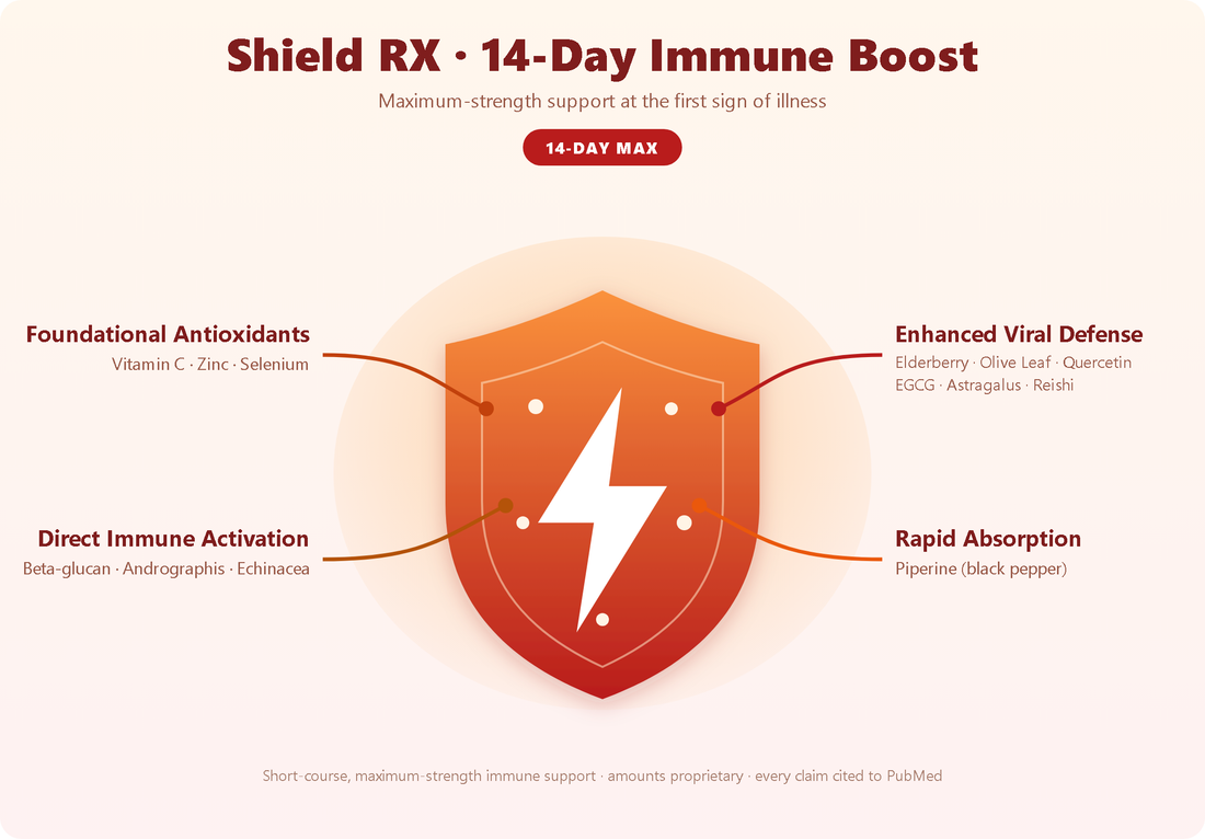 Shield RX 14-day immune boost - four mechanisms and ingredients