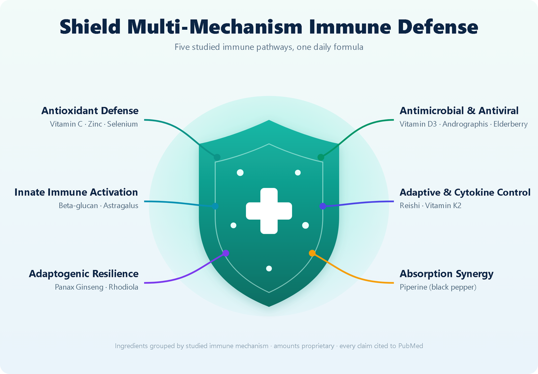 Shield multi-mechanism immune defense - mechanisms and ingredients