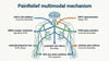 PainRelief - Targeting pain through 8 synergistic pathways
