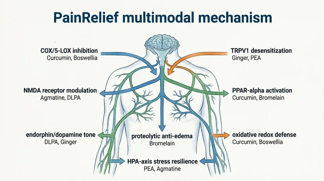 PainRelief - Targeting pain through 8 synergistic pathways
