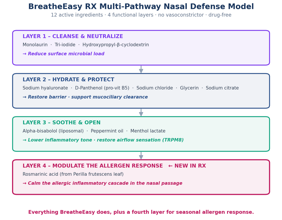 BreatheEasy RX Multi-Pathway Nasal Defense Model